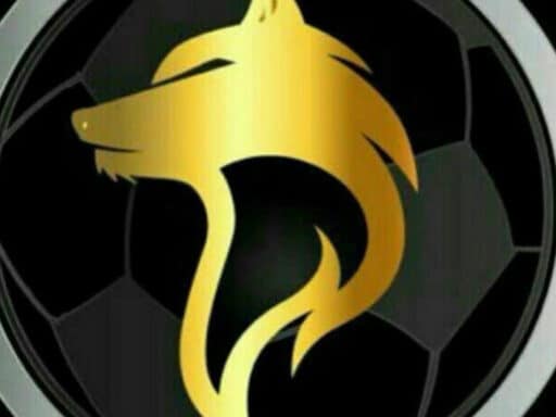ولف بت سایت شرط بندی Wolfbet آدرس جدید بدون فیلتر