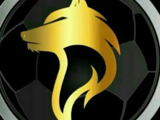 ولف بت سایت شرط بندی Wolfbet آدرس جدید بدون فیلتر