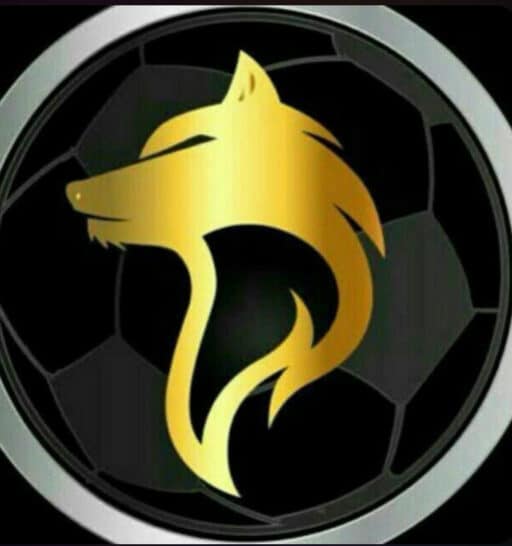ولف بت سایت شرط بندی Wolfbet آدرس جدید بدون فیلتر